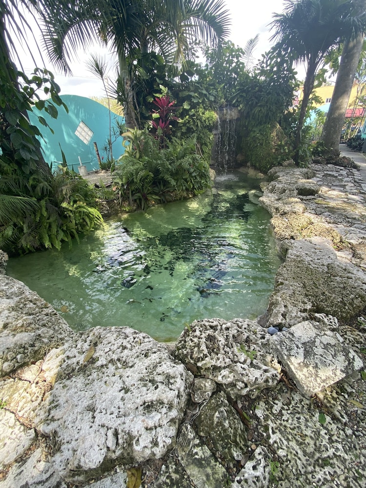 Hoosville Hostel - photo 26