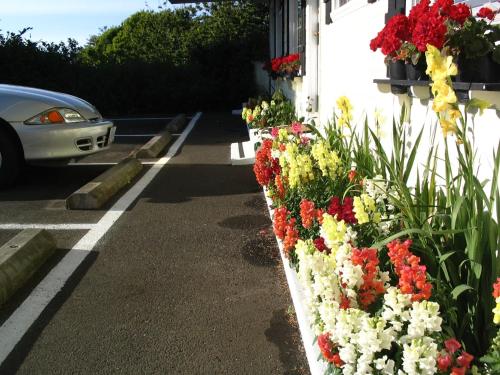 Captain Cook Inn - photo 23