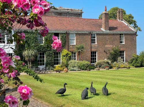 Family friendly big beautiful 17th Century house