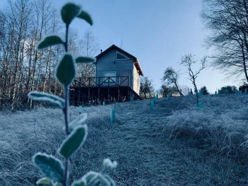 Refugio Pulli Tierra y naturaleza in Villarrica, Chile