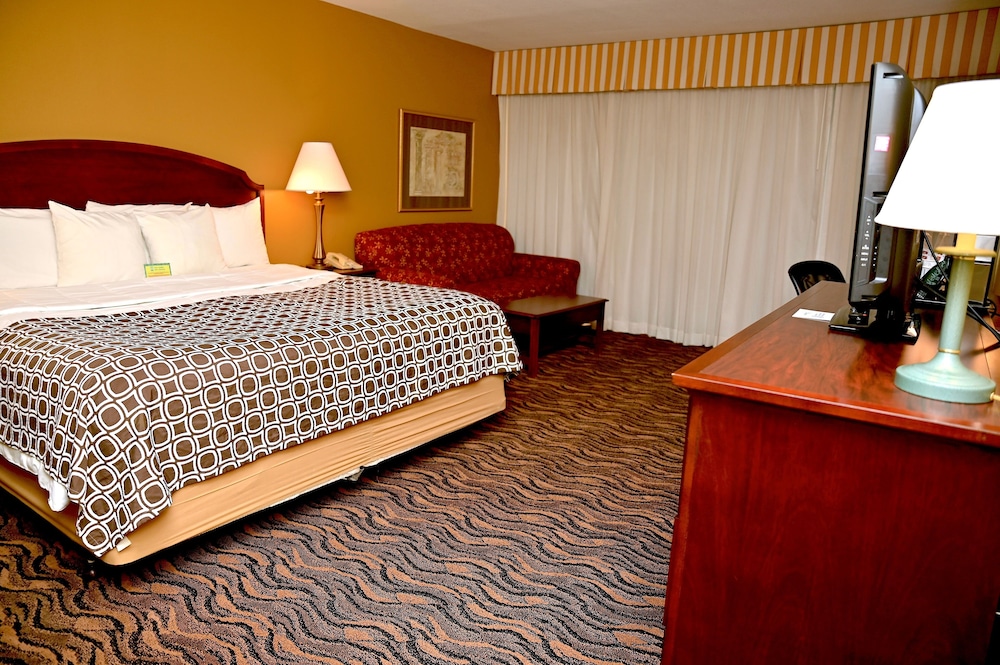 MCM Eleganté Hotel & Suites - photo 14