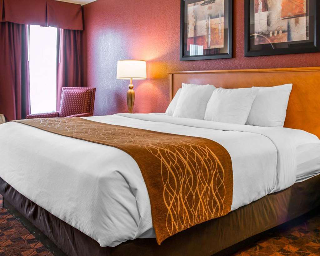 Comfort Inn & Suites and Conference Center - photo 12