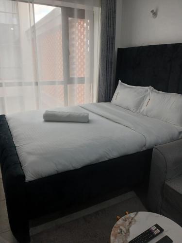 Alpha Suites