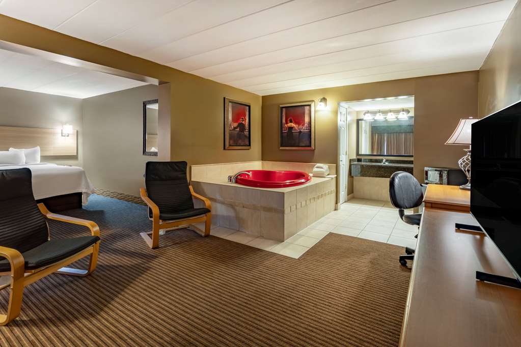 Days Inn Birch Run - photo 9