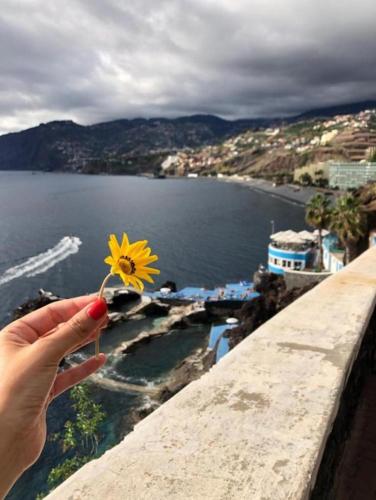 Madeira Residence Apt. 80 — 4-Star Luxury Hotel in Funchal, Portugal