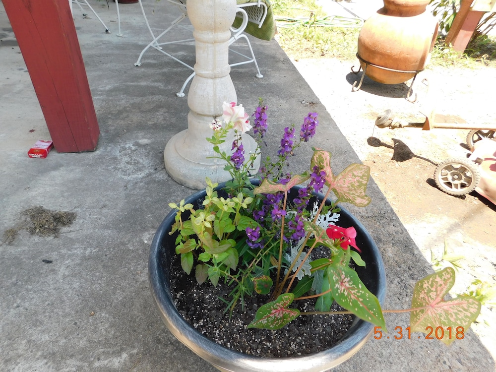 Little Shamrock Motel - photo 28