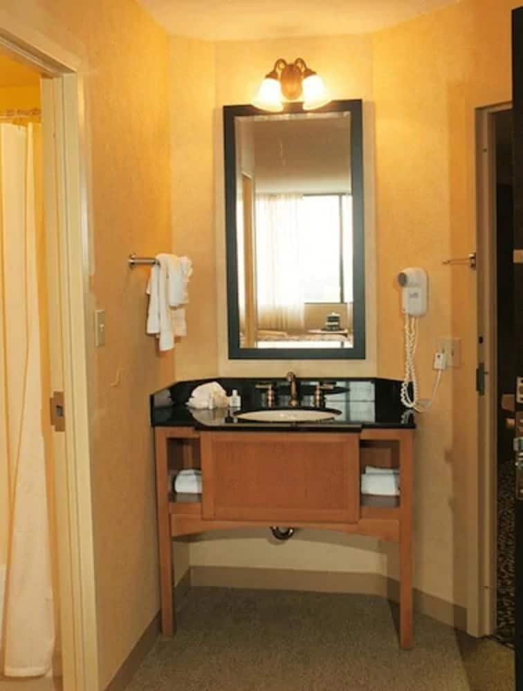 Millennium Hotel Maxwell House Nashville - photo 17