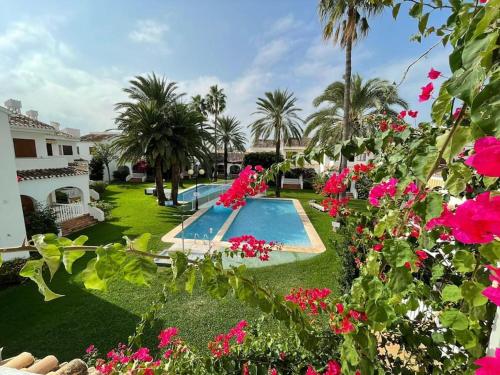 Viva La Vida Denia — Denia