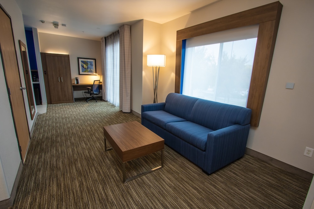 Holiday Inn Express Hotel & Suites Roseville Galleria Area by IHG - photo 22
