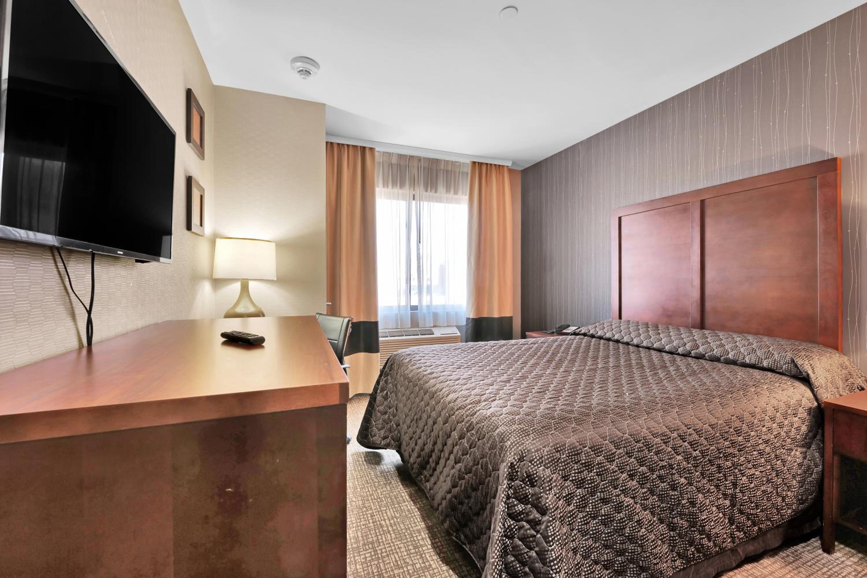 Hotel Pergola JFK Airport - photo 11