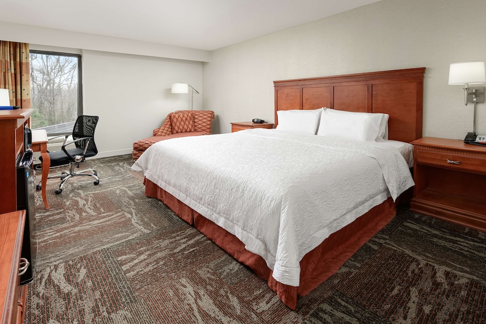 Hampton Inn Oak Ridge Knoxville - photo 6