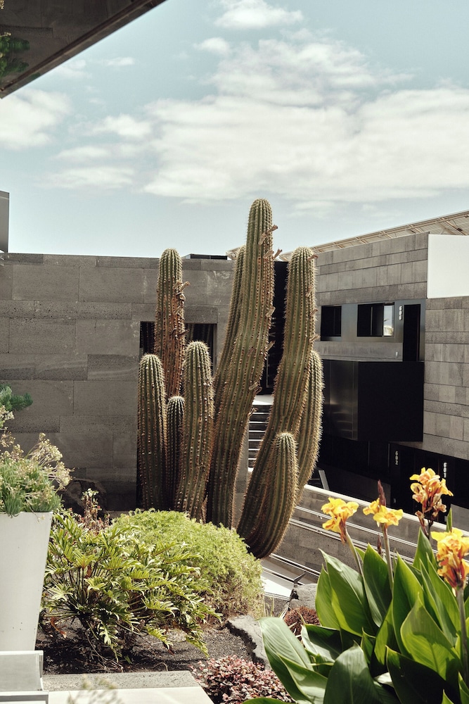 La Isla y el Mar Hotel Boutique Adults Only in Tias, Spain