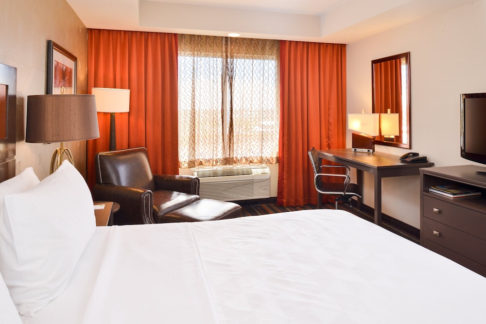 Holiday Inn Amarillo West Medical Center by IHG - photo 13