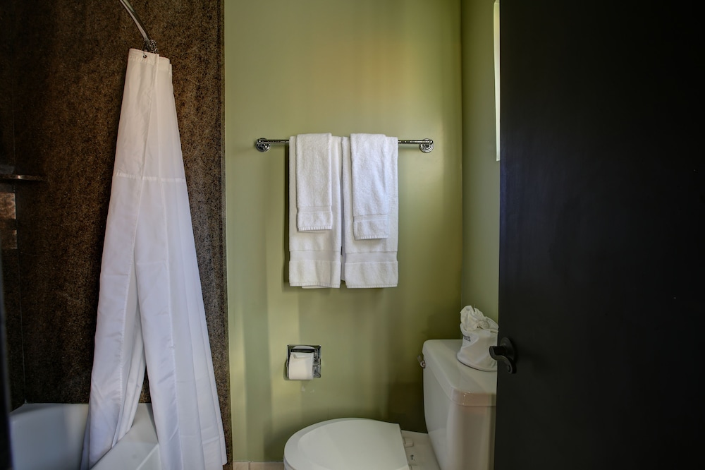 Caliente Tropics Hotel - photo 40
