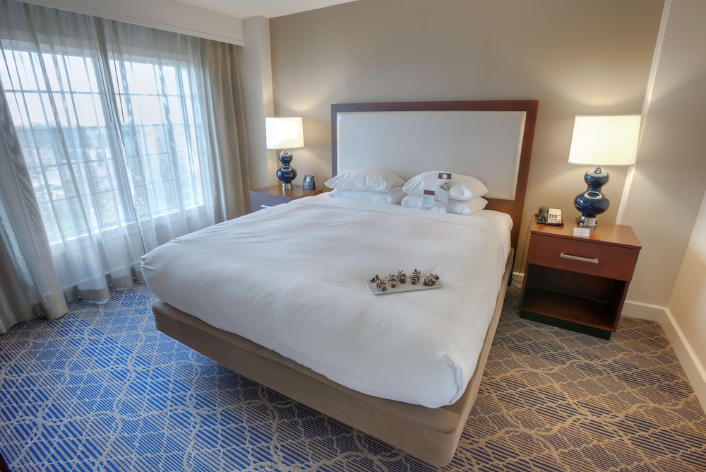 Doubletree Suites by Hilton at The Battery Atlanta - photo 24
