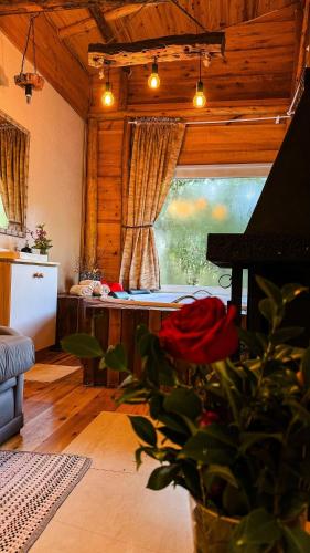 Cabana hidromassagem Morada Alma Gêmea — hotel in Campo Alegre
