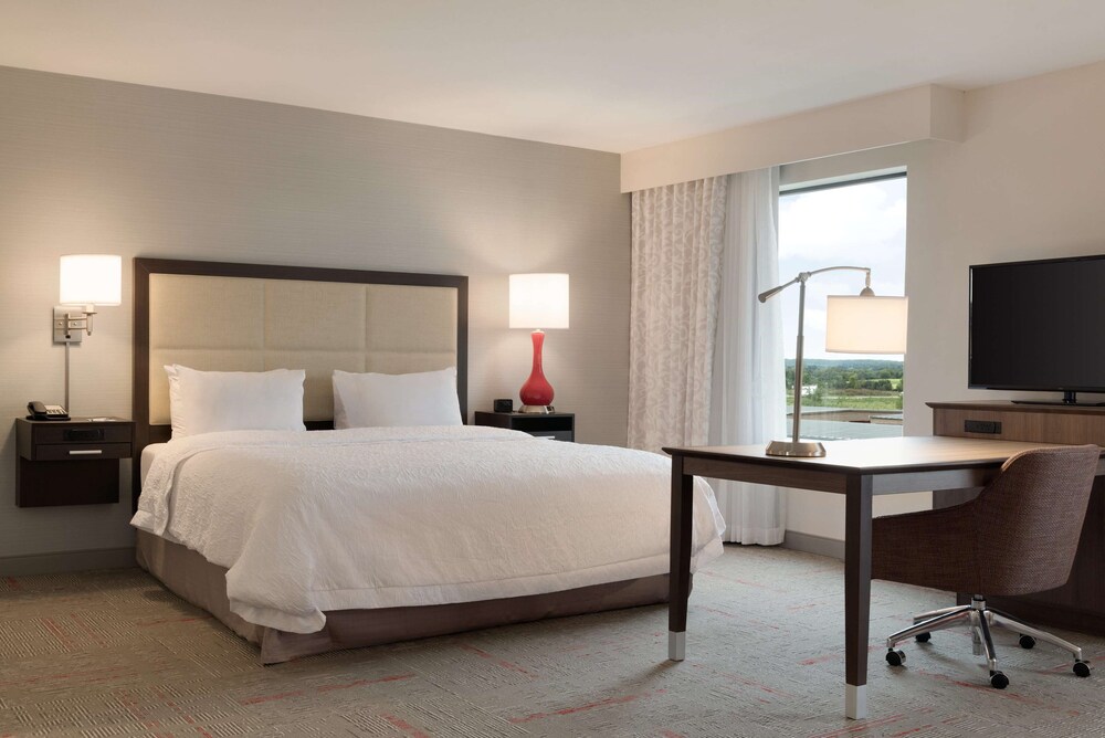 Hampton Inn & Suites Flagstaff East - photo 6