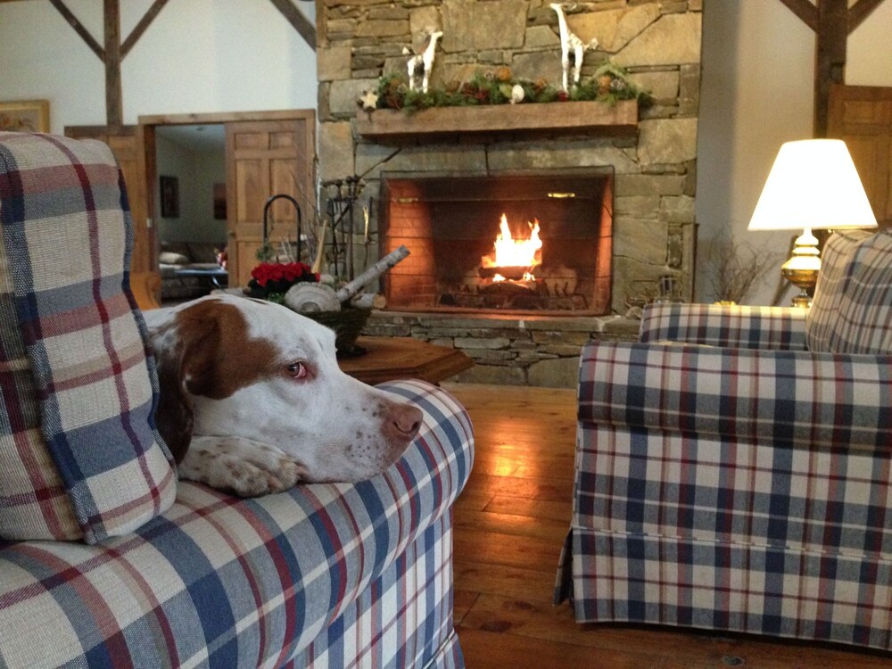 The Inn at Willow Pond - photo 4