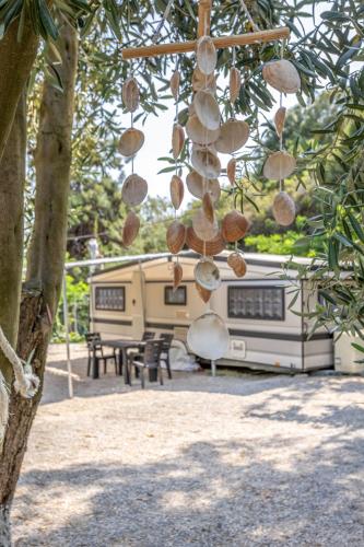Sarakina Caravans by the sea pet-friendly hotel Elaiochori