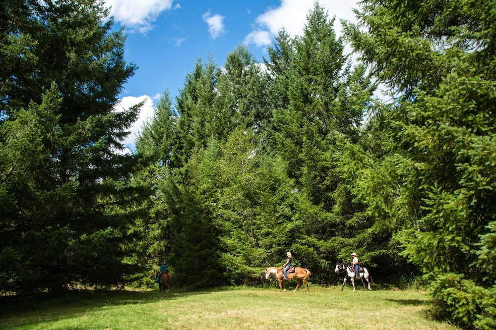 Chehalis Camping Resort Cottage 1 - photo 15