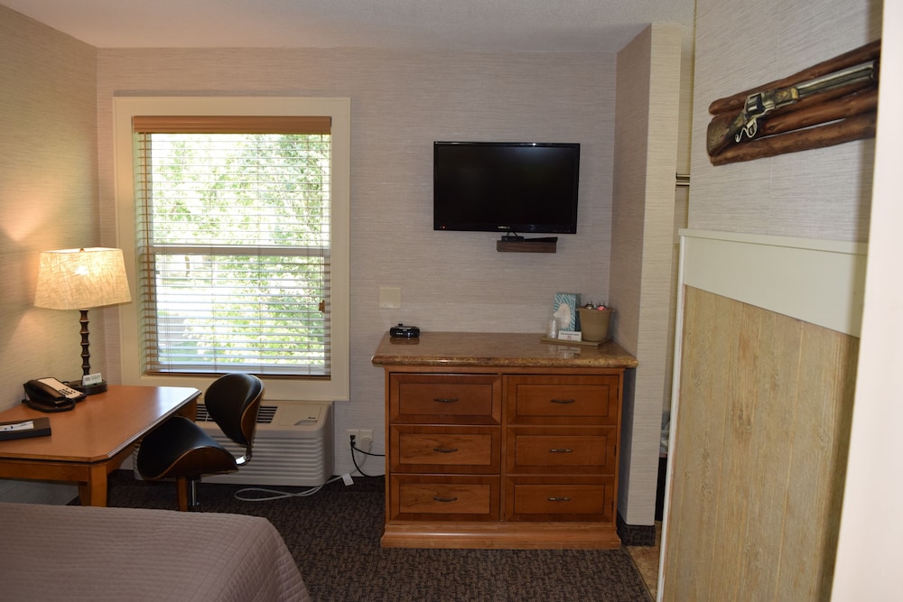 Mountain View Hotel - photo 8