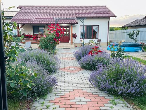Mountain View House Brasov — 4-Star Luxury Hotel in Brasov, Romania