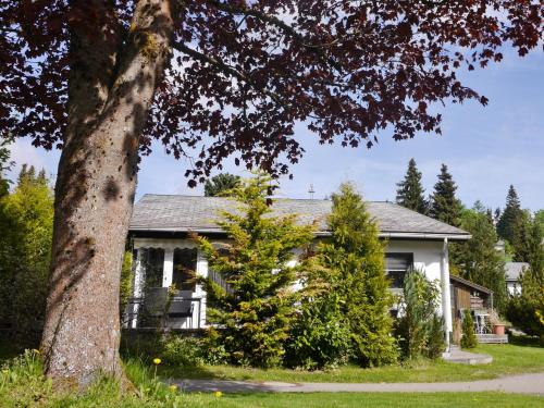Ferienhaus Free Willi — Willingen