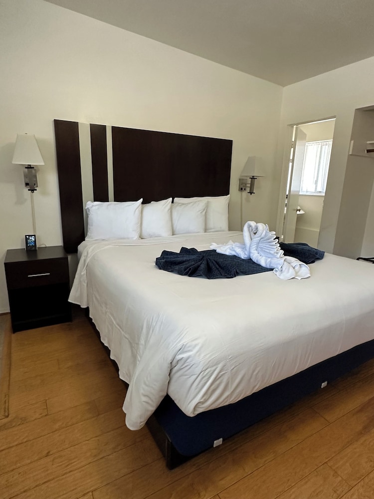 Cambria Palms Motel - photo 5