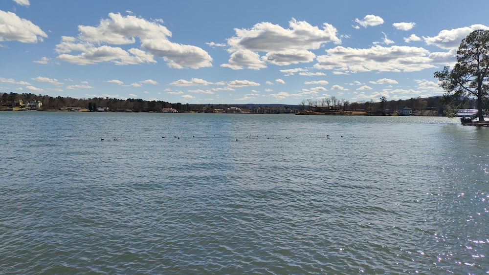 Willow Beach Resort - photo 27