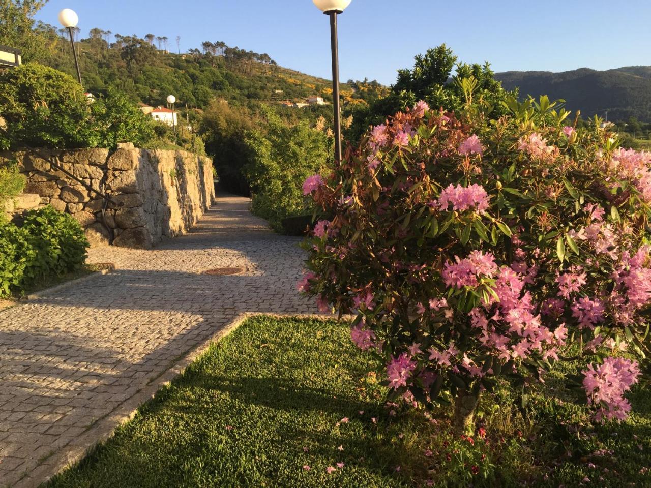Quinta de Casalmato — Resende — photo 5