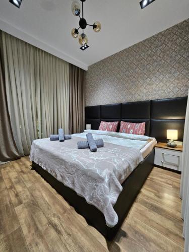 Nova city center apartments