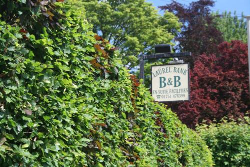 Laurel Bank Bed and Breakfast