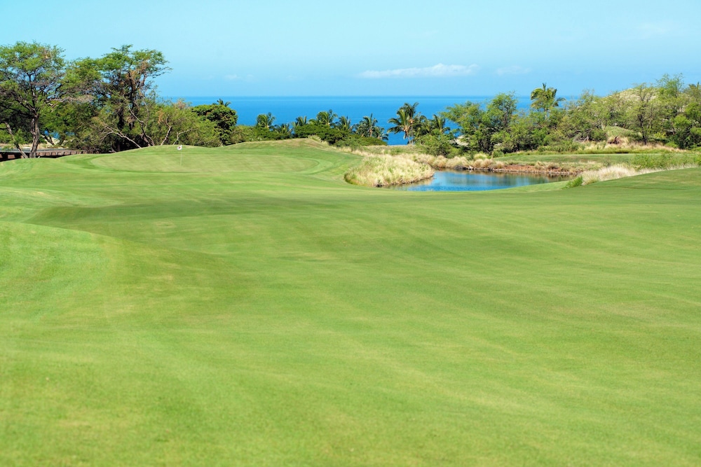 The Westin Hapuna Beach Resort - photo 78