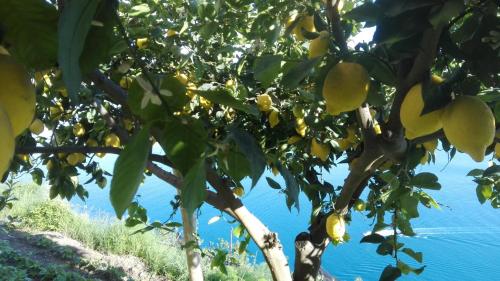 LInfinito in Amalfi, Italy
