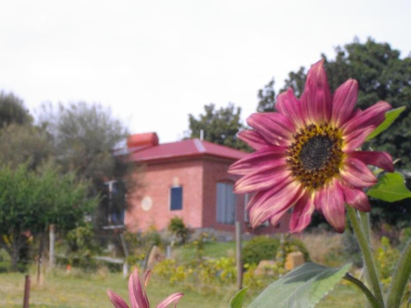 Cherry Top Accommodation - carbon neutral hotel in Lilydale