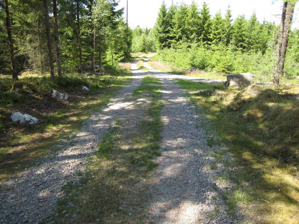 stixered fegen nära till Ullared in Falkenberg, Sweden