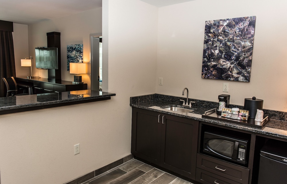 Holiday Inn Paducah Riverfront by IHG - photo 5