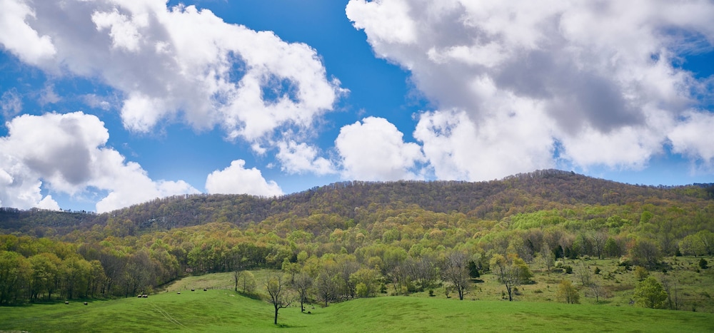 Eupepsia Wellness Center - photo 25