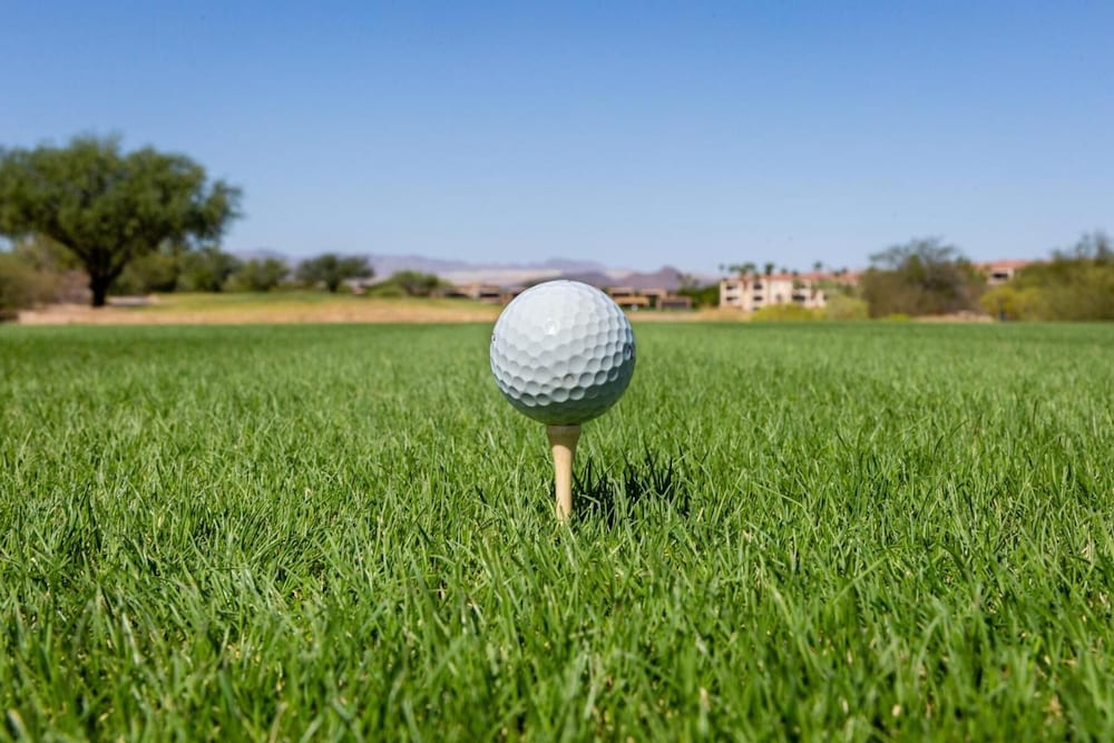 Canoa Ranch Golf Resort - photo 59