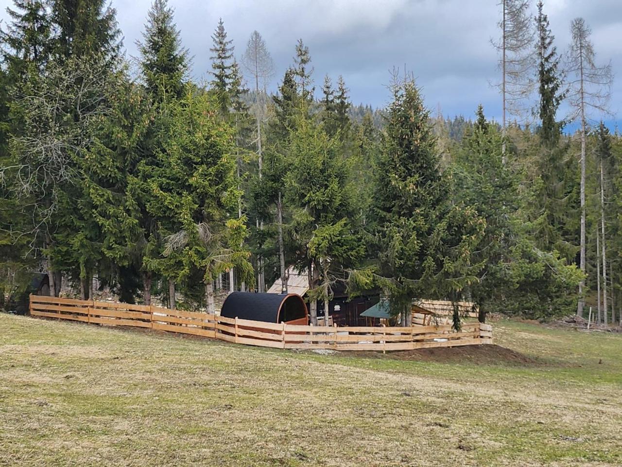Urige Waldbienenhutte — Diex — photo 3