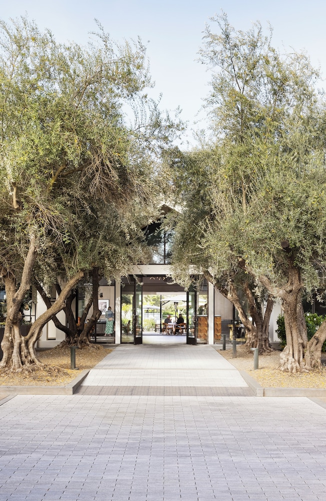 The Estate Yountville - photo 87