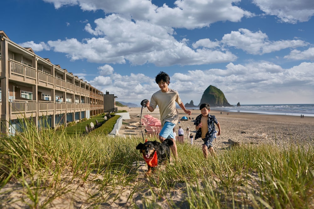 Surfsand Resort - photo 65