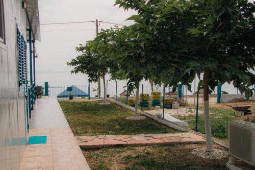 Calm Escape in Unknown City, Albania