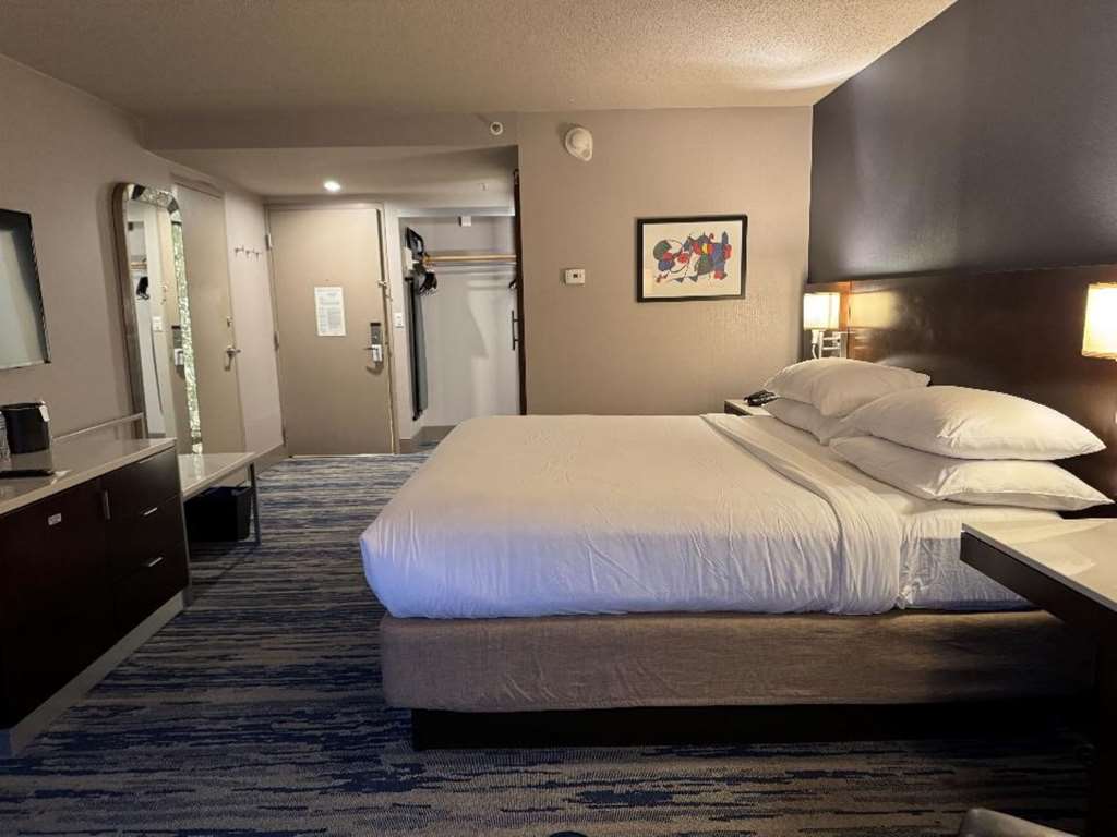 Skyline Hotel Detroit Airport SureStay Collection by BW - photo 10