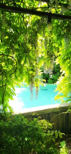 The Secret Garden — hotel in Herentals