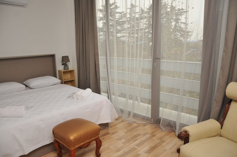 Chateau Kutaisi in Kutaisi, Georgia