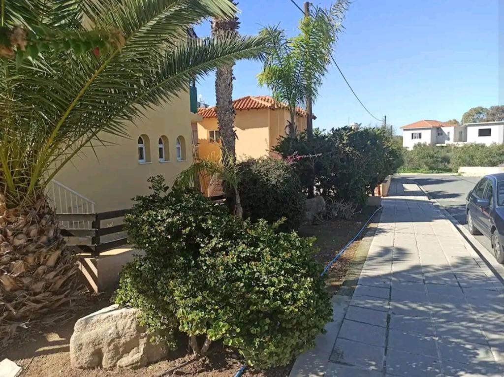 Olymbos Garden Apartment IV