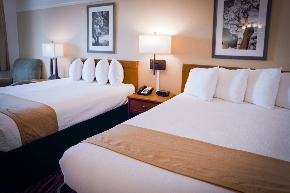 Pines Inn & Suites - photo 8