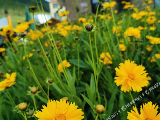 Xingkong Xiaozhu Inn in Dage, People's Republic of China