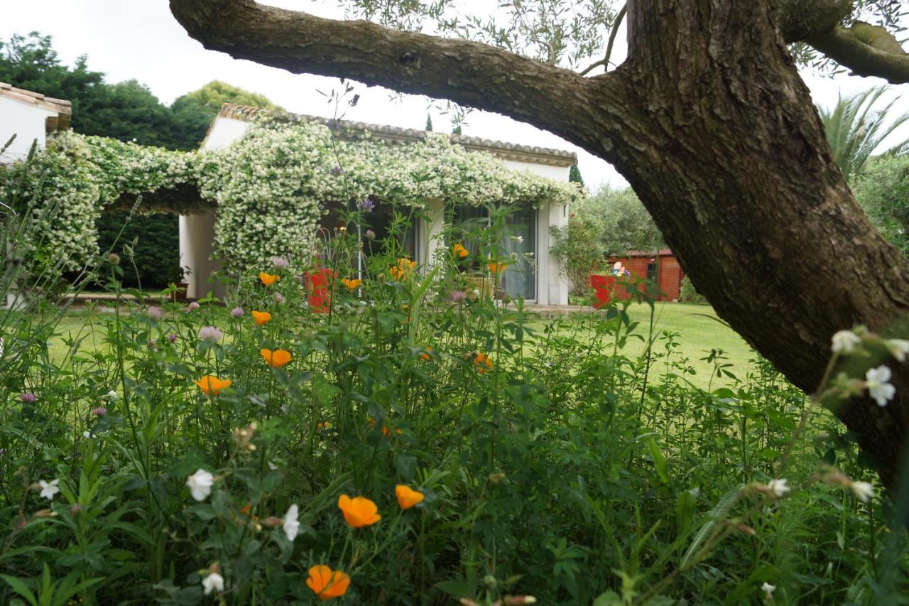 Studio Au Coeur de la Petite Camargue pet-friendly hotel Beauvoisin
